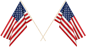 Us Flags Icon